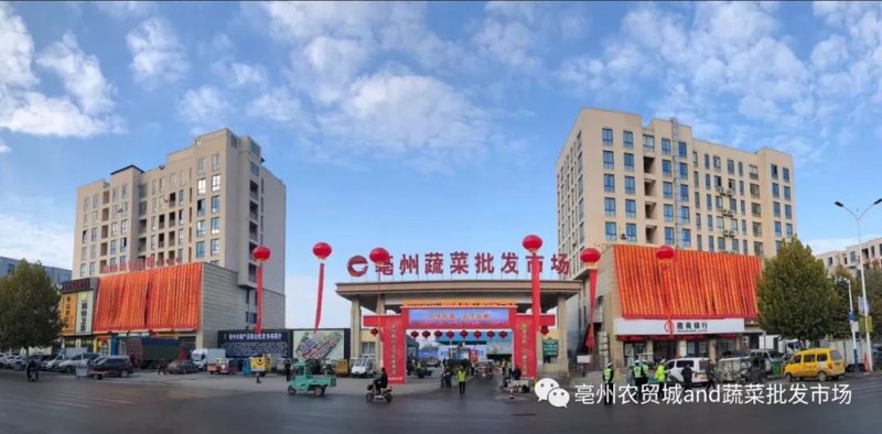 沃禾商贸如何引领市场?