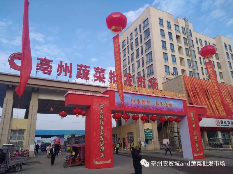 亳州农产品:传统与创新的融合之路